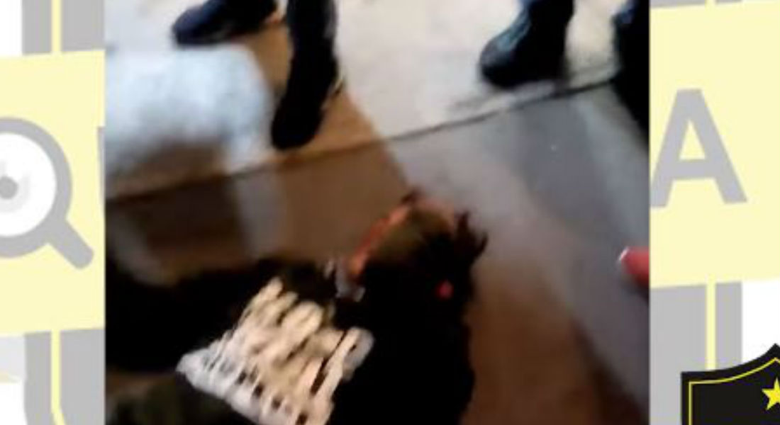 VIDEO: Golpean a rata por asaltar a joven en el Metro Nopalera