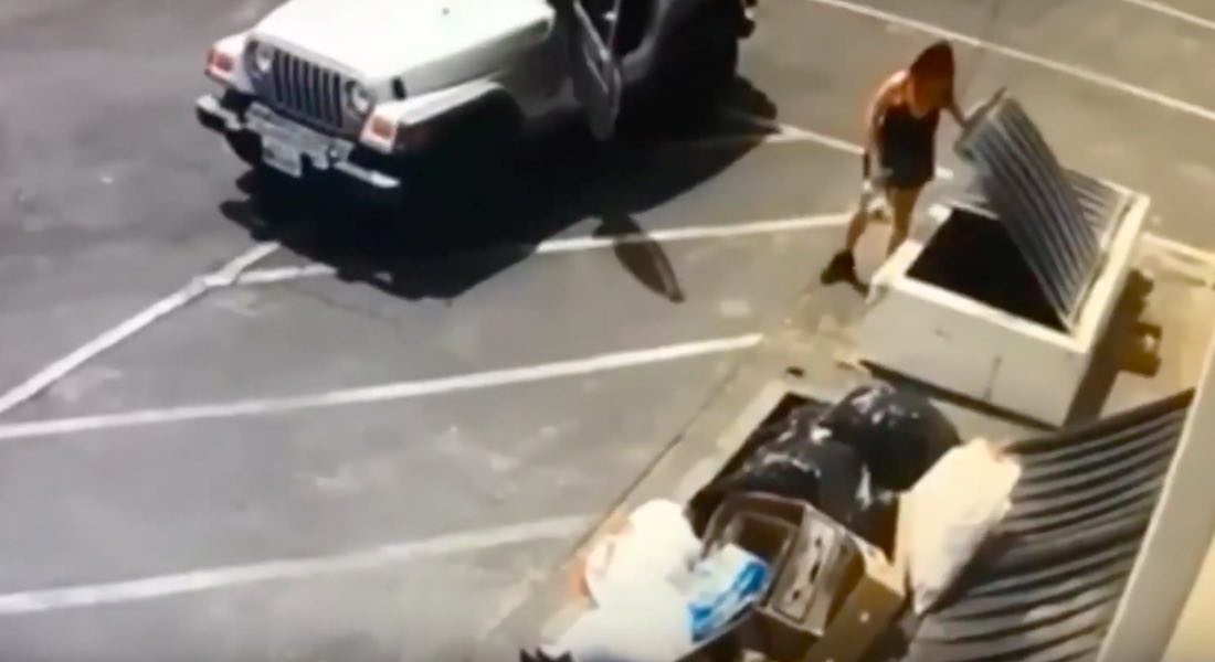 VIDEO: Mujer tira siete cachorros a la basura; tenían tres días de nacidos