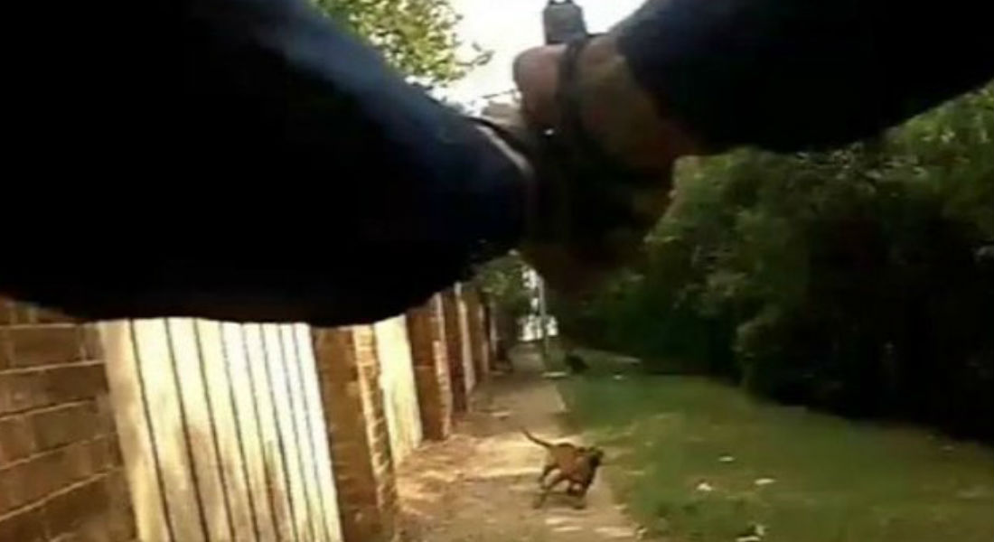 VIDEO: Policía intenta dispararle a un perro y termina asesinando a una mujer