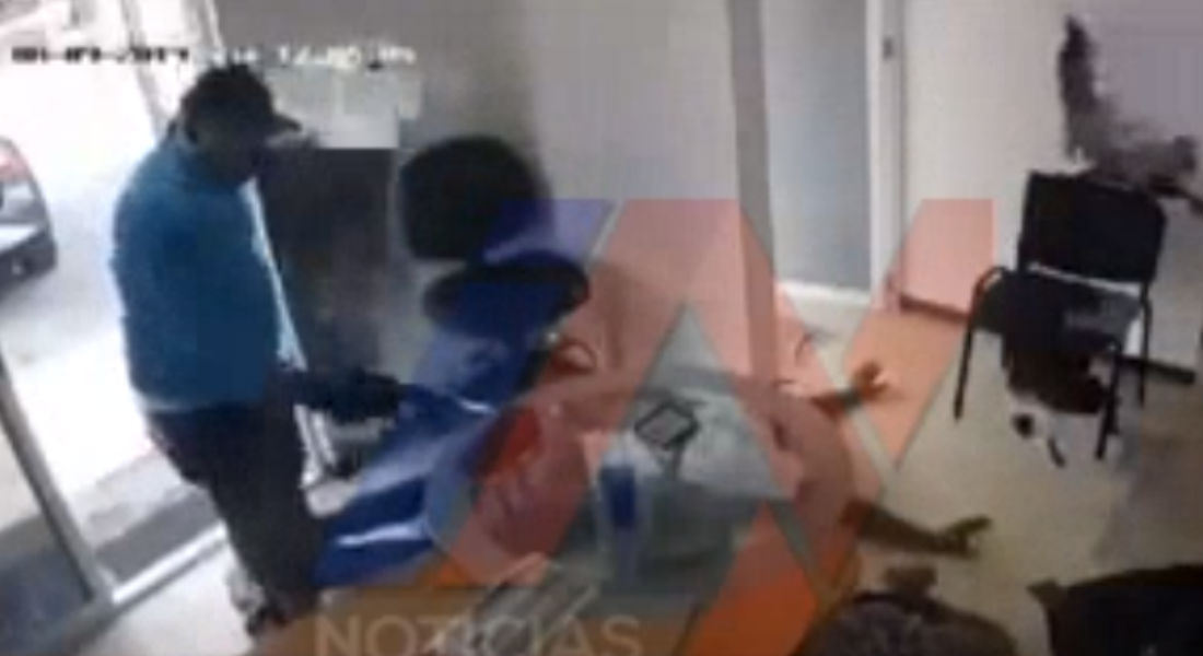 VIDEO: Ejecutan a cuatro personas en local de Cuernavaca