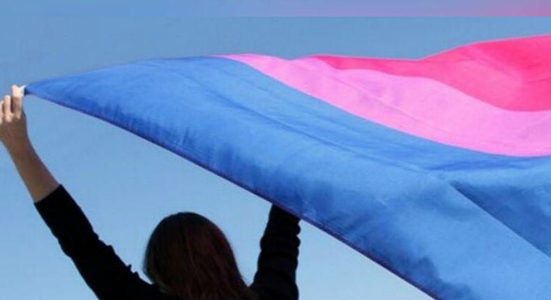 ¿Qué significa la bandera de la bisexualidad?
