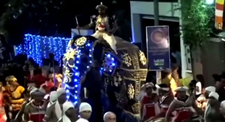 VIDEO: Elefante embiste a una multitud durante desfile budista