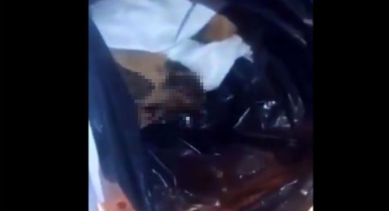 VIDEO: Vecinos descubren a mujer que mataba perros para vender su carne