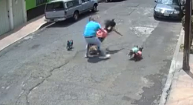 VIDEO: Hombre agrede a mujer por «defender» a sus perros sin correa