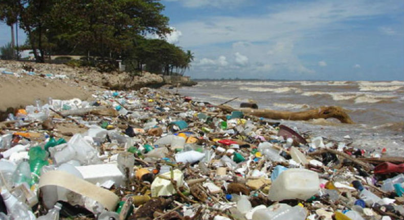 Greenpeace México orienta sobre un consumo responsable sin plásticos