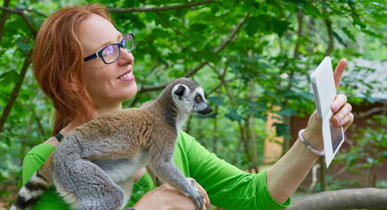 Costa Rica quiere impedir «selfies» con animales silvestres