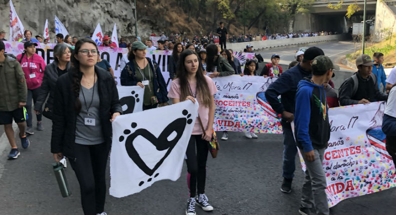 Caminata por la Paz en México de LeBarón y Sicilia ya está en camino