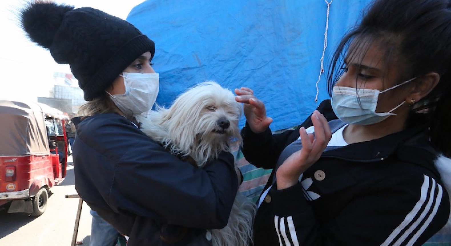 Mascotas de Wuhan son víctimas colaterales del coronavirus