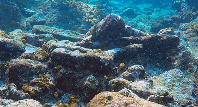 Encuentran restos de naufragio de hace más de 200 años en Quintana Roo