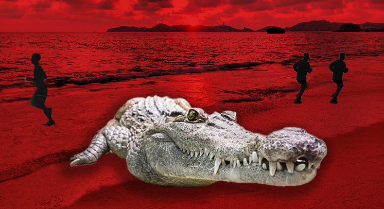 Aparece cocodrilo de 3 metros de largo en playa de Acapulco