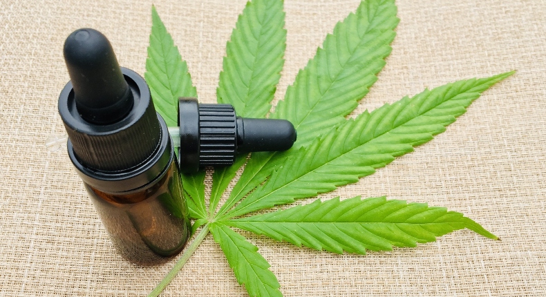 Una guía rápida del cannabis: ¿Qué es el CBD, el THC y el CBG?