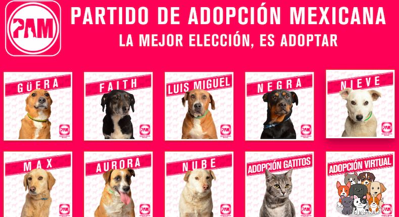 ¡Suaves y perrunas elecciones! Conoce el Partido de Adopción Mexicana