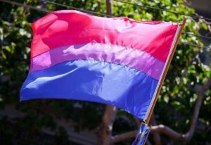 Bandera bisexual | Digitallpost