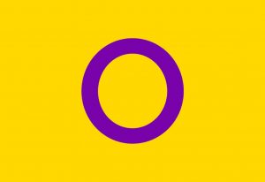 Bandera Intersexual | Digitallpost