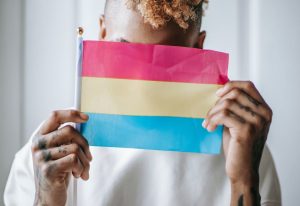 Bandera pansexual | Digitallpost