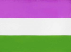 Bandera Queer | Digitallpost