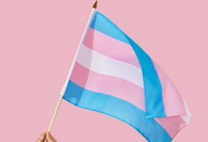 Bandera Trans | Digitallpost