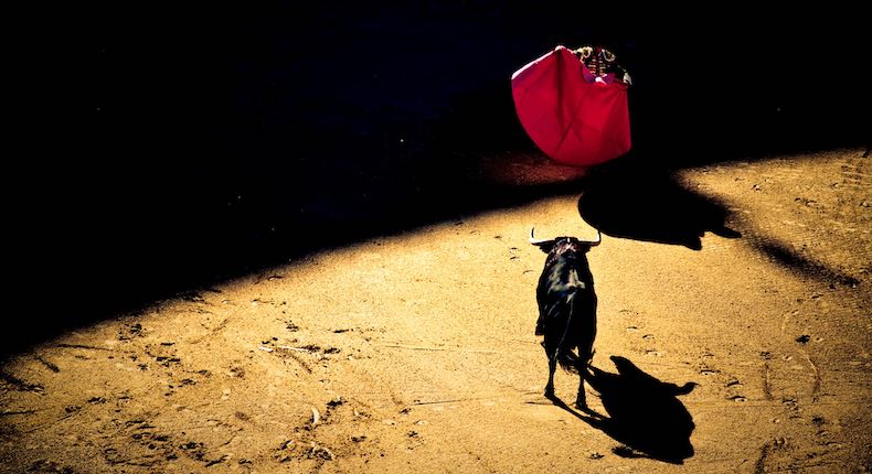 Gijón prohíbe corridas de toros tras nombrar a 2 animales «Nigeriano» y «Feminista»