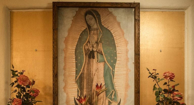 bienvenido peregrino virgen Guadalupe | Digitallpost