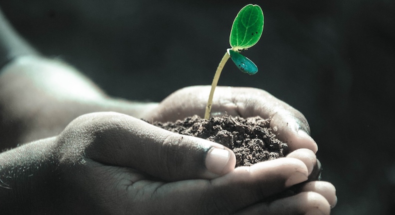 Día mundial del suelo: 5 puntos para entender por qué es tan importante cuidarlo