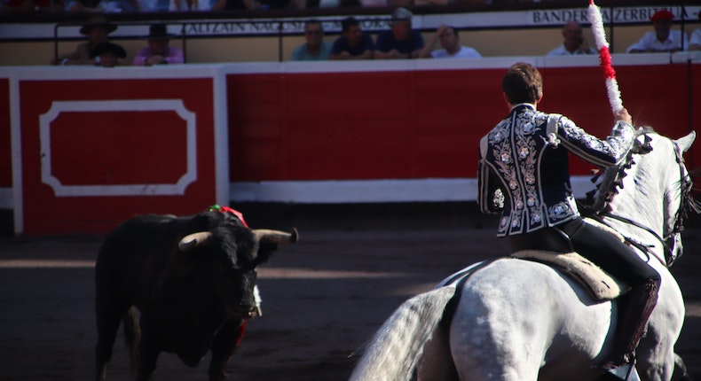 Proponen en Congreso prohibir corridas de toros en Ciudad de México: este es el panorama