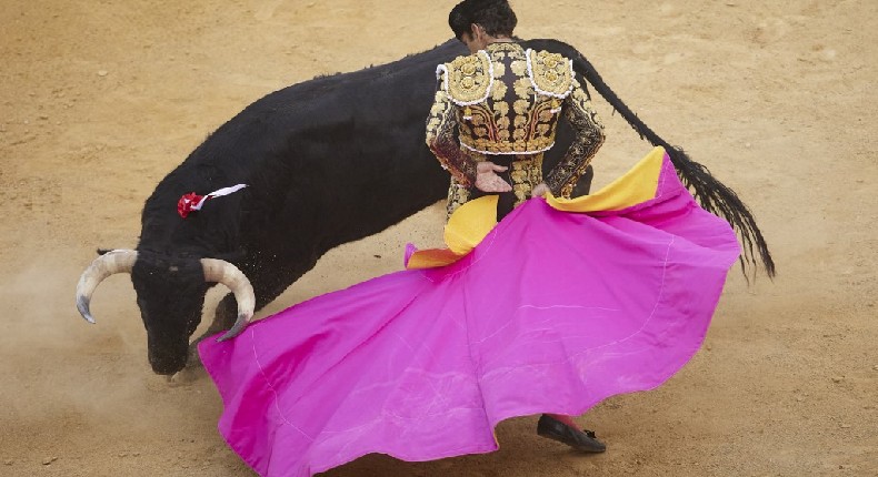 ¡Por fin! La tauromaquia ya no se considera un bien cultural en México