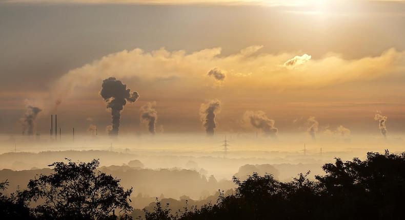 ¿Están obligadas las empresas a publicar sus balances de emisiones de carbono?