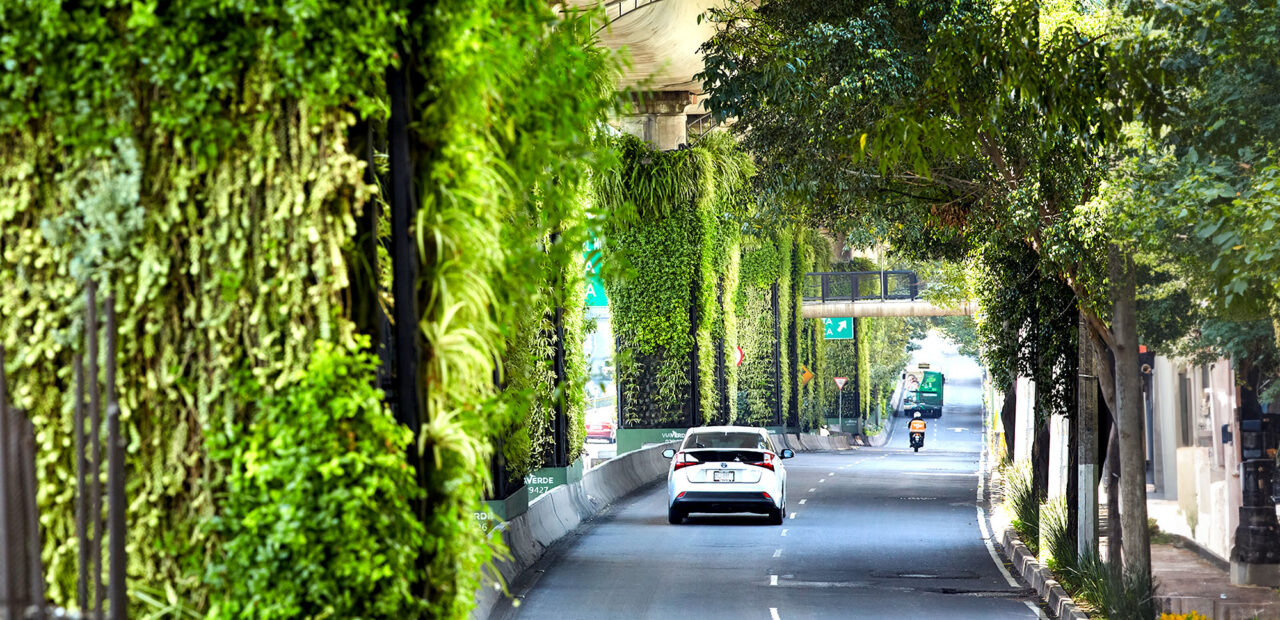 Vía Verde: los jardines verticales que cambian el aspecto urbano de las ciudades